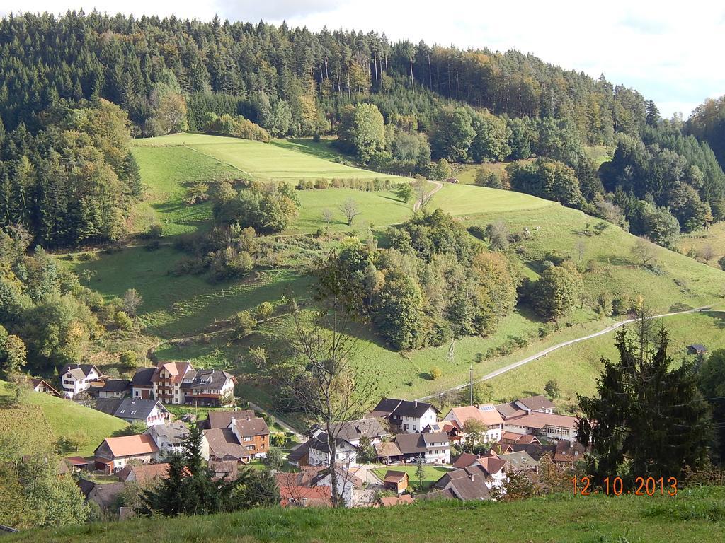 Haus Wiesental Kleines Wiesental Luaran gambar