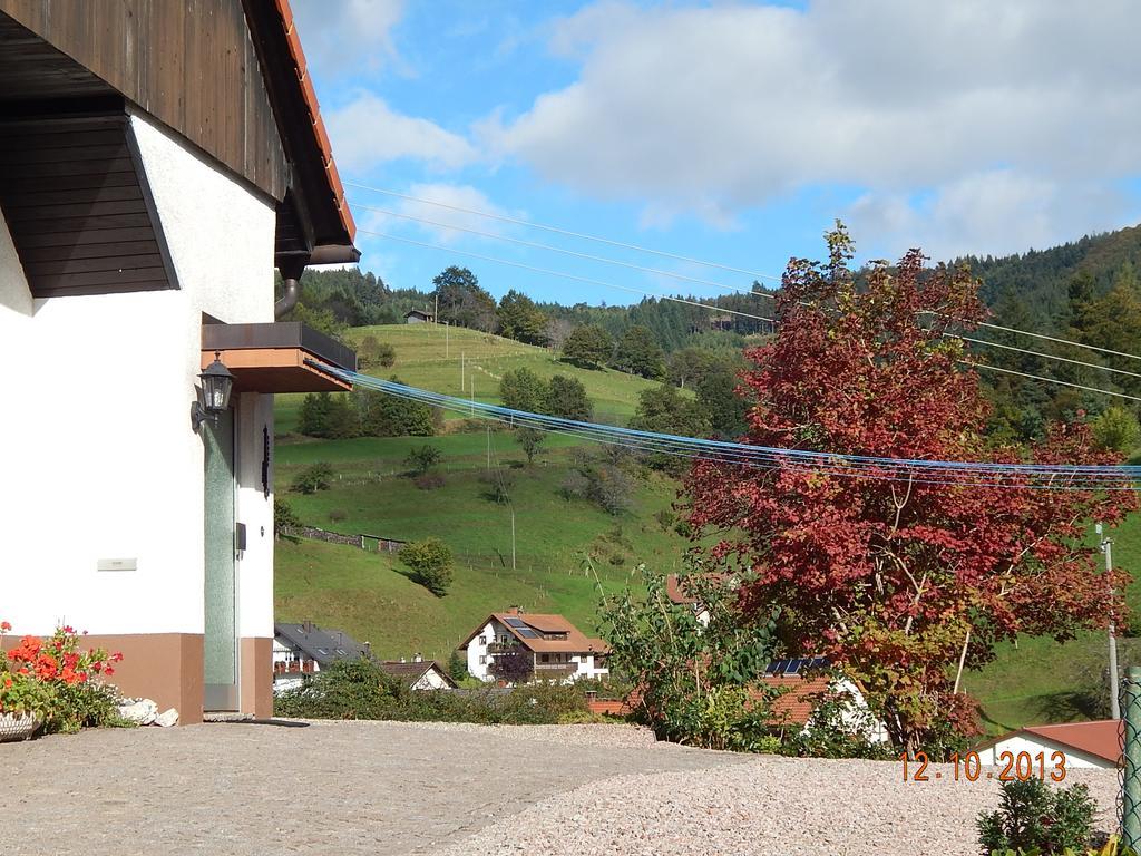 Haus Wiesental Kleines Wiesental Luaran gambar