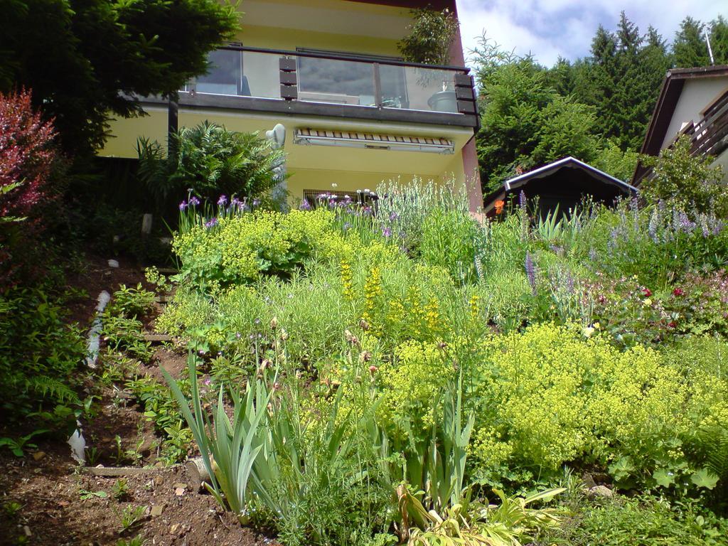 Haus Wiesental Kleines Wiesental Luaran gambar