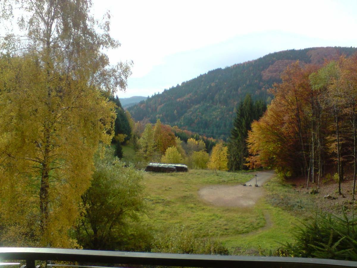 Haus Wiesental Kleines Wiesental Luaran gambar